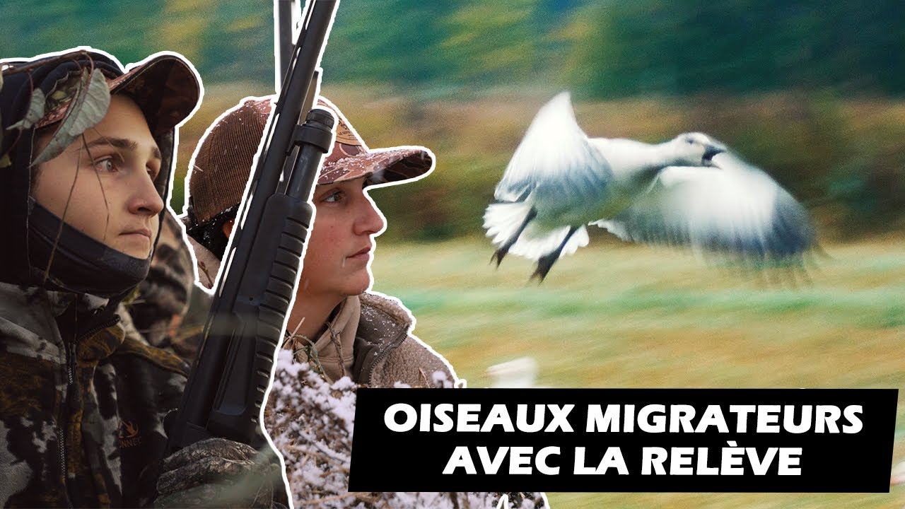 Première CHASSE à la SAUVAGINE pour la relève | ROADHUNT.TV - Saison 6 Épisode 8