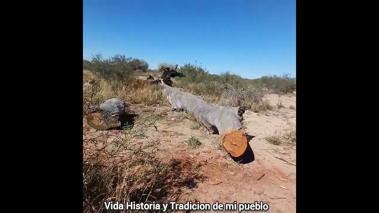 San Pedrito Campo de Cultivo del Cipes