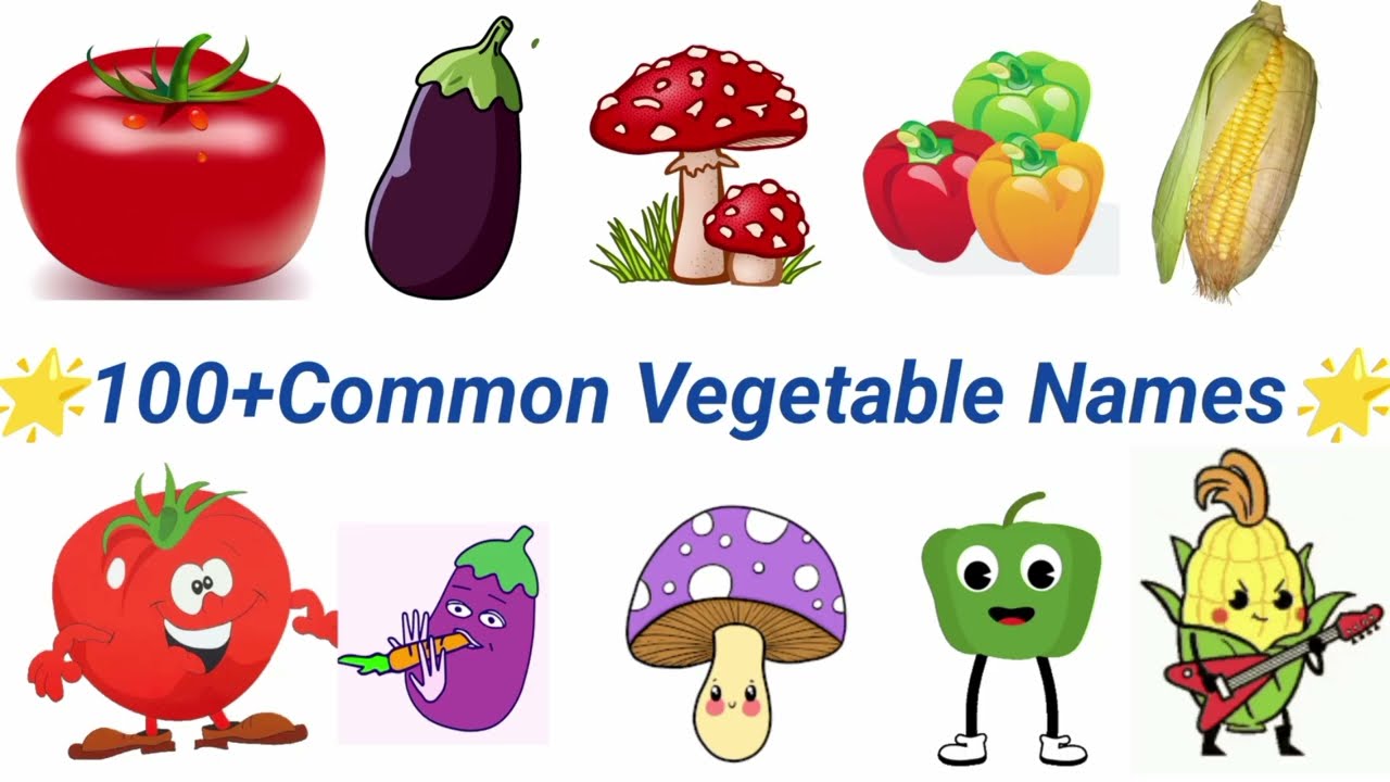 Vegetable Names|vegetables name in English|vegetables picture| name of vegetables
