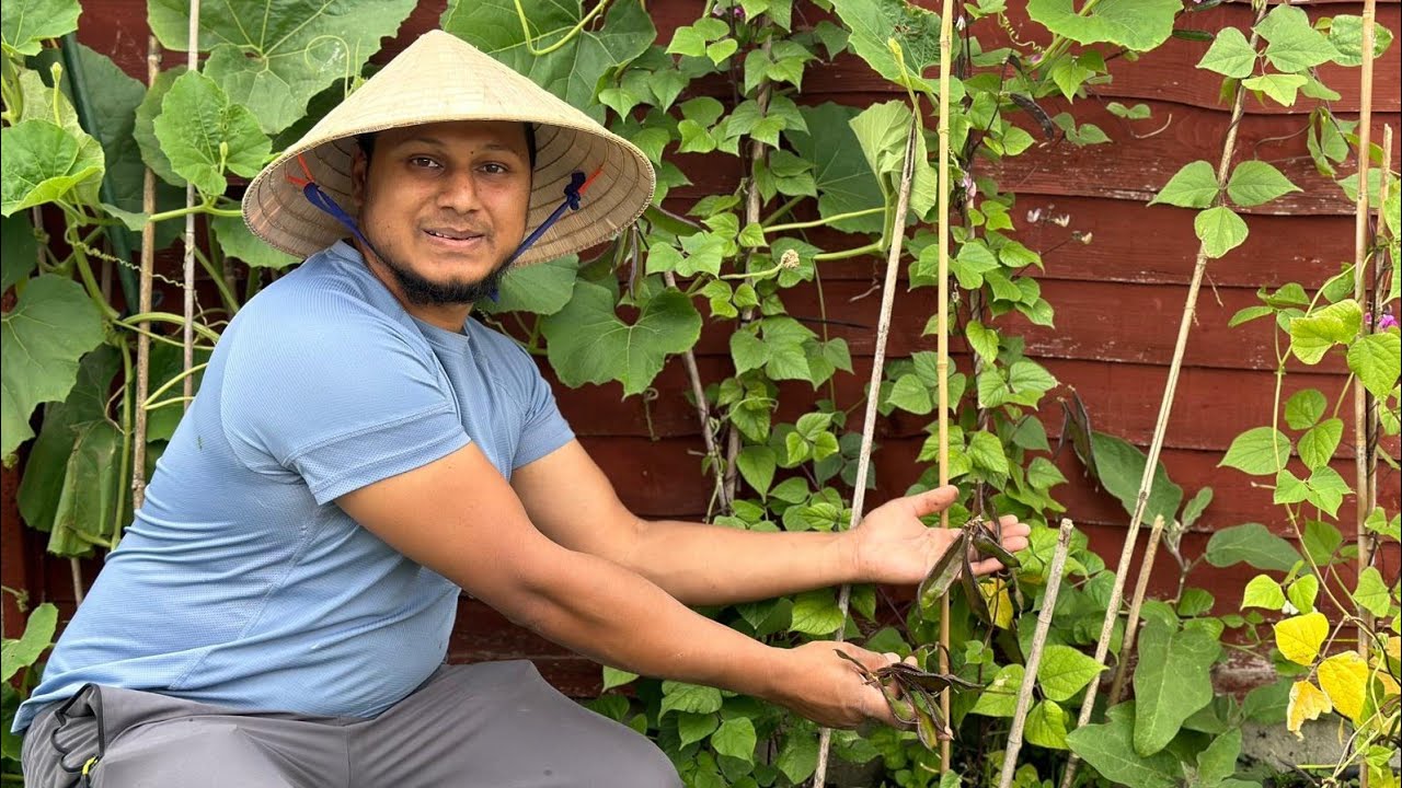 Hamza's Shoker family Bagan uk 🇬🇧 🇧🇩