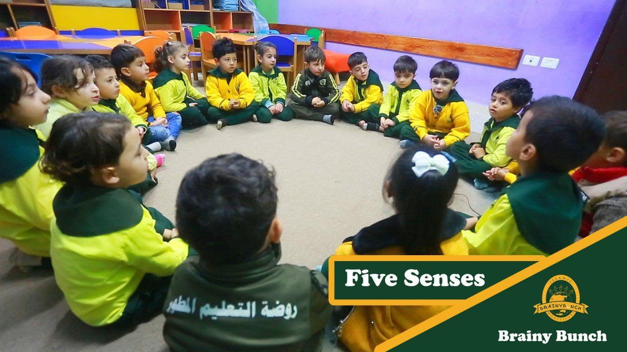الحواس الخمس Five Senses
