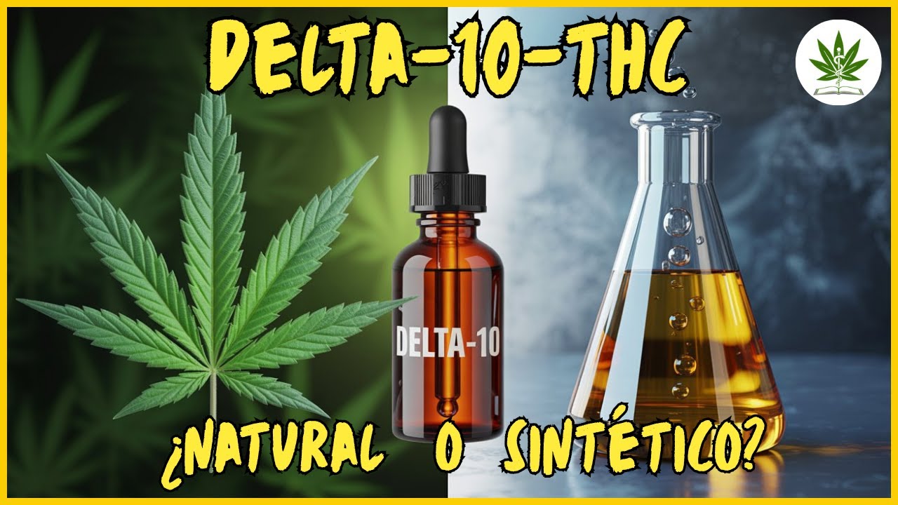 &iquest;Qu&eacute; es el Delta-10 THC? | &iquest;Peligroso o Medicinal? La Verdad Cient&iacute;fica
