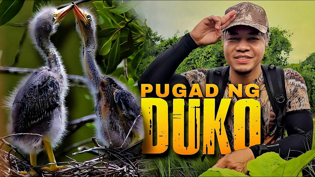 Mga Inakay sa Pugad ng Duko