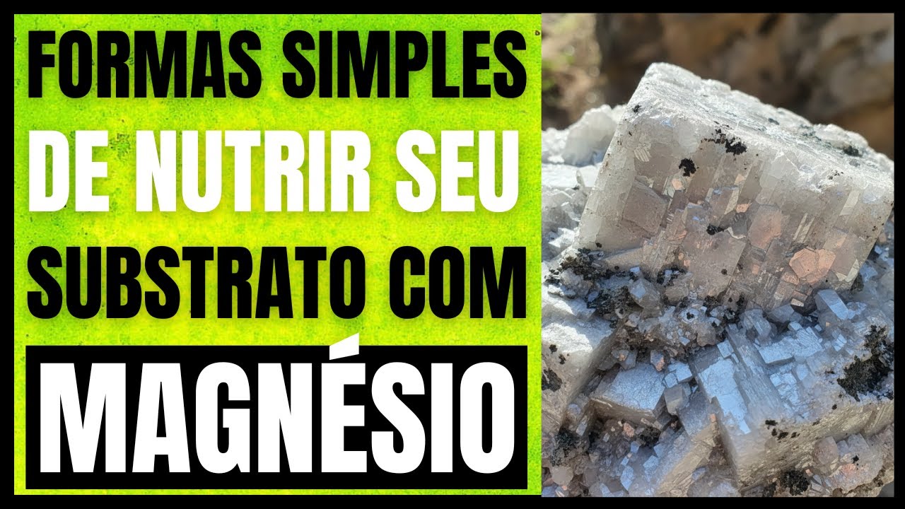 Vídeo aula 7 - MAGNÉSIO! #agricultura #manejodesolo #agronomia