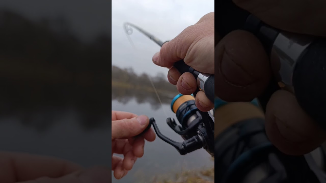 Трофейный жерех взят!!!🎣