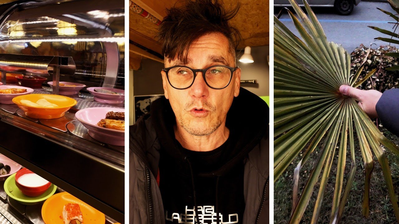VLOGMAS - Pražsk&eacute; v&aacute;nočn&iacute; trhy, running sushi a nemocn&aacute; palma
