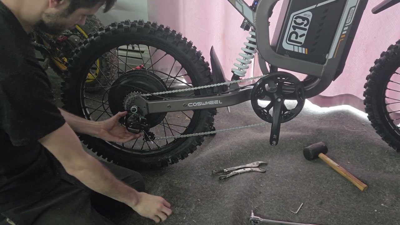 coswheel r19 crank swap