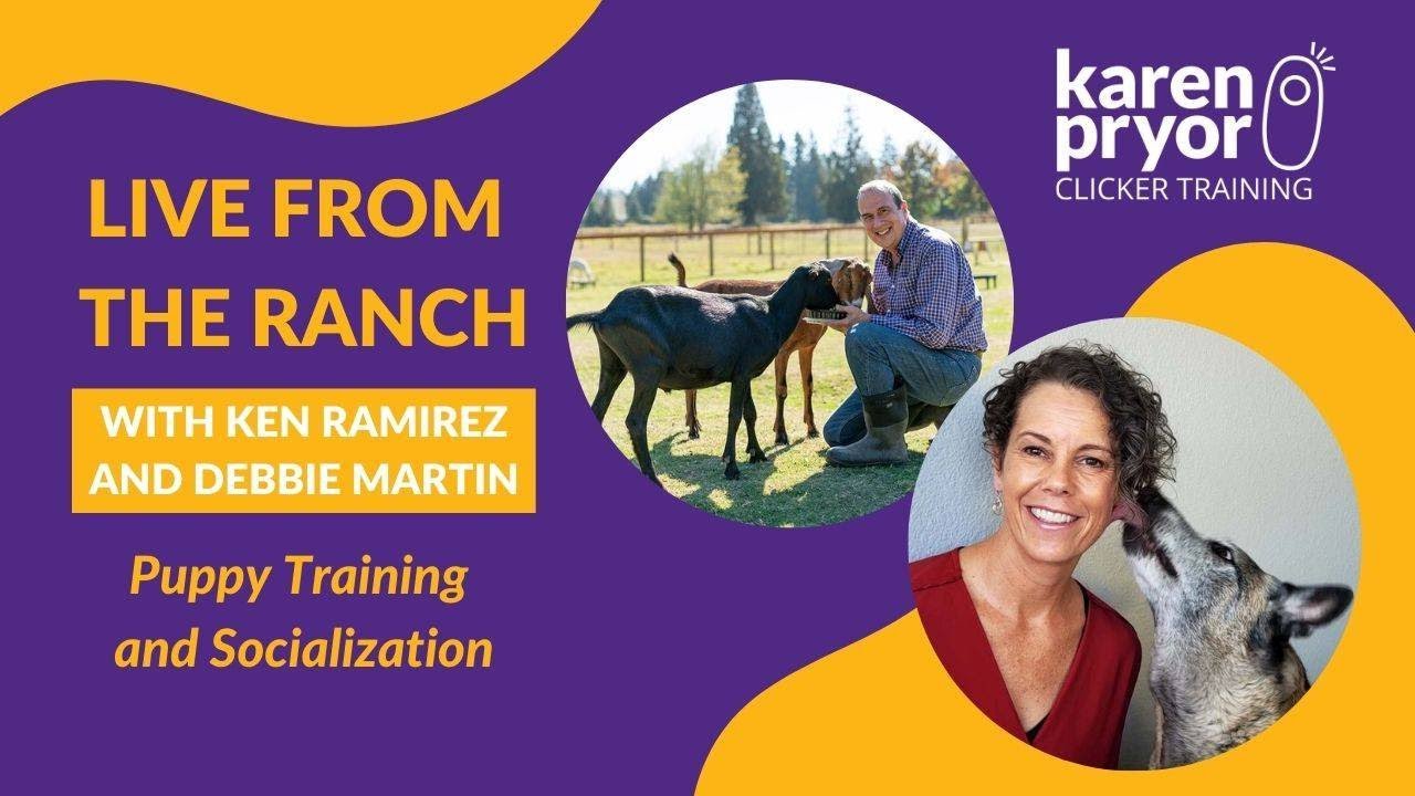 Puppy Training and Socialization with Debbie Martin and Ken Ramirez • Live from The Ranch