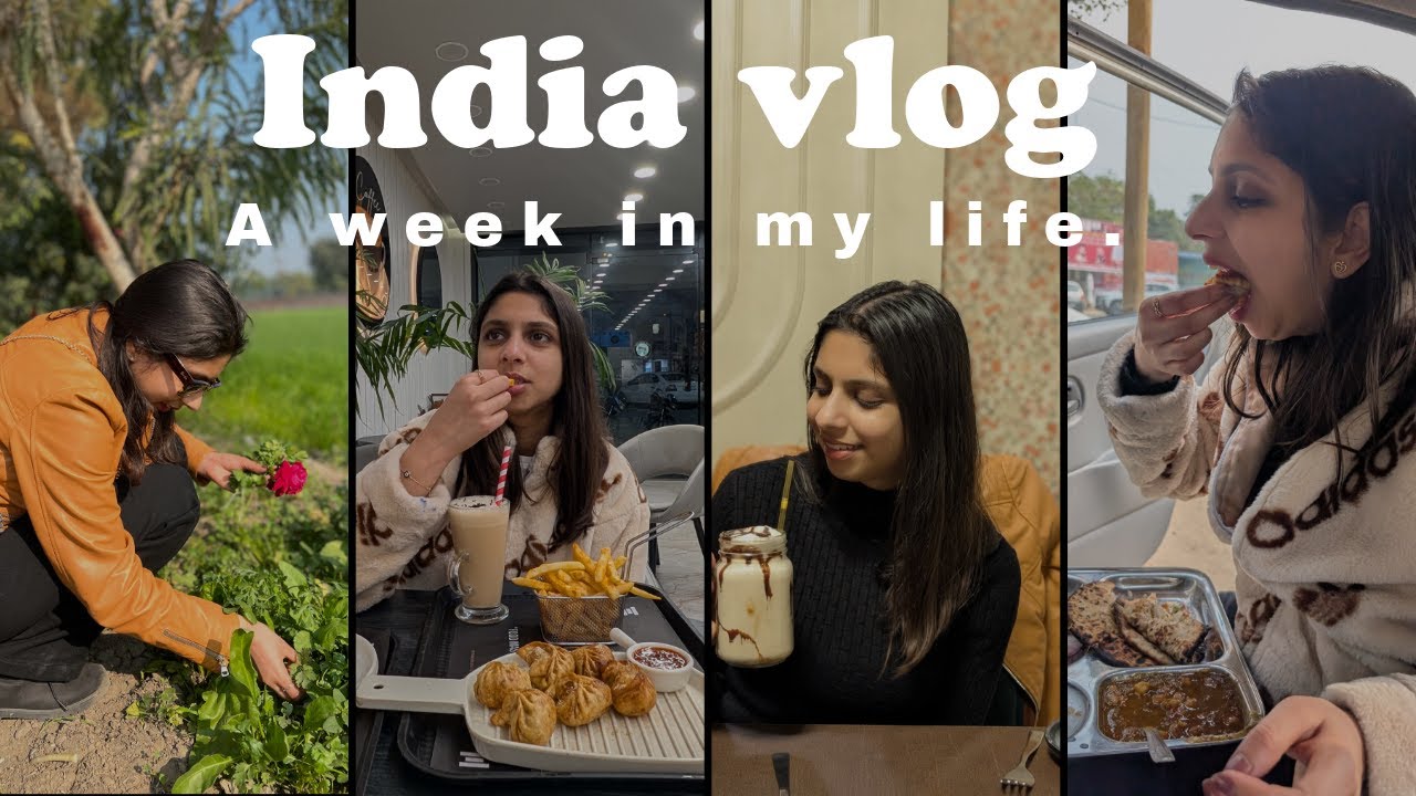 Back in India 🇮🇳 | Food, Shopping & Real Daily Life After Germany | My India Days Vlog