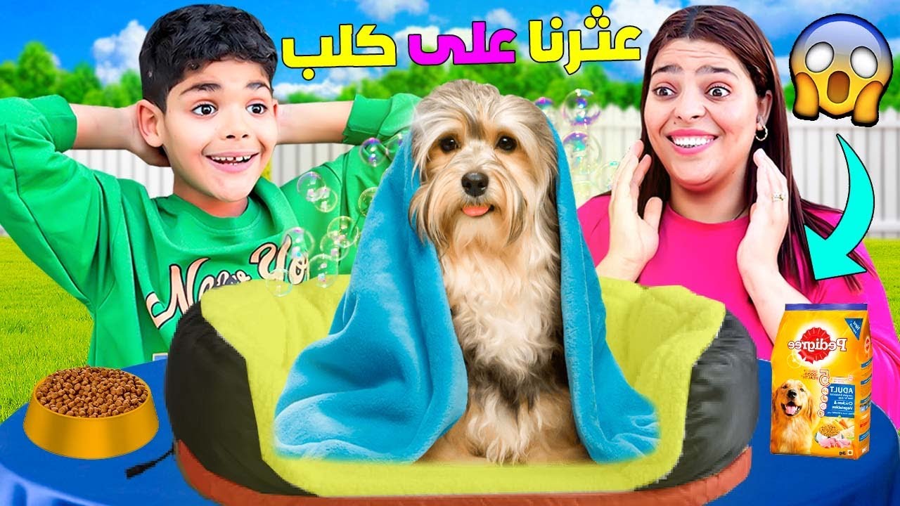 للاسف..وجدنا كلب غالي الثمن 💵 ضائع في الشارع🐶(وأخدناه للمنزل 💔)