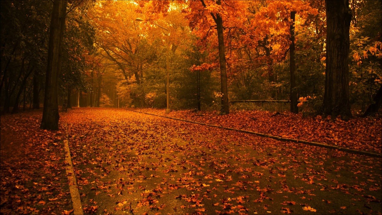 Pablo Hasél - Triste Otoño