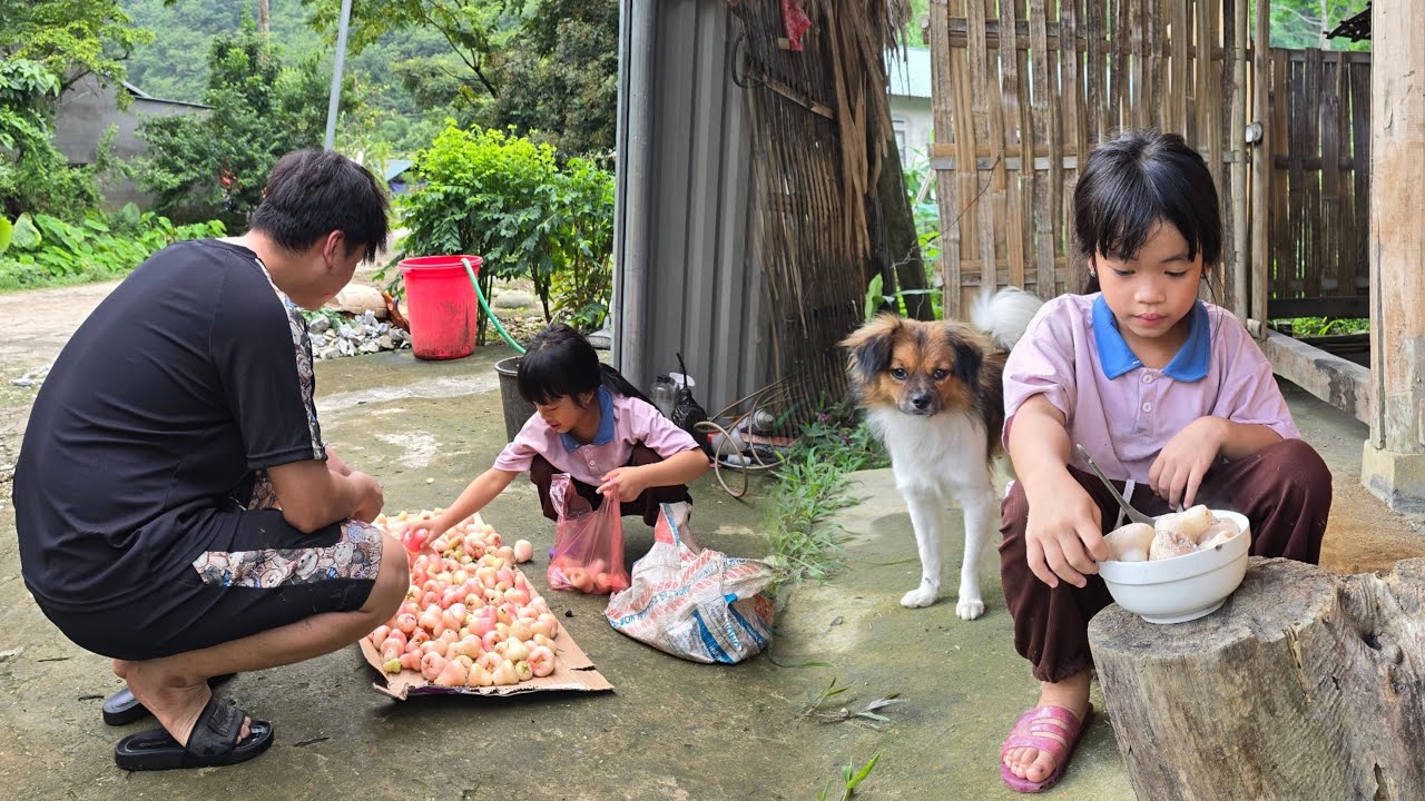 Poor girl - Picked guava fruits to sell and took care of herself and cooked delicious stuffed meat