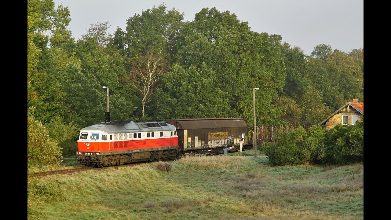 232 401 von Rostock Seehafen nach Karow
