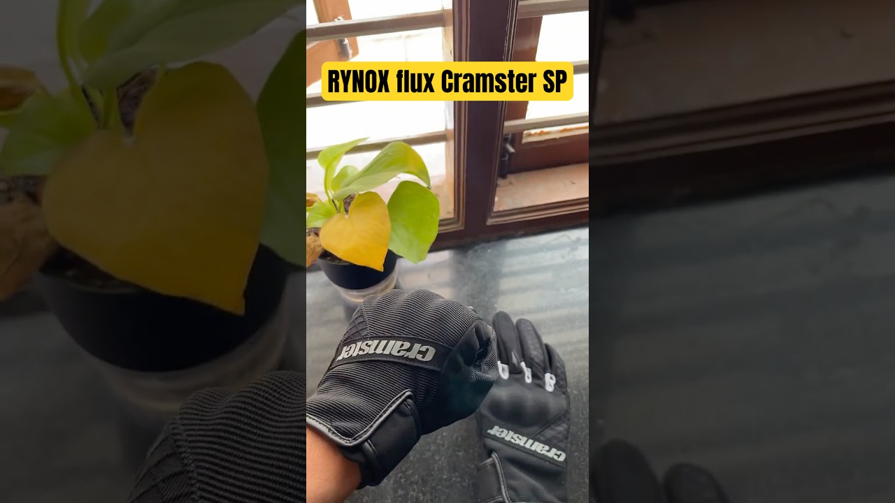 Rynox Flux Cramster SP Bike Gloves | Biker Gloves | Cramster By rynox #rynox #rynoxgears #gloves