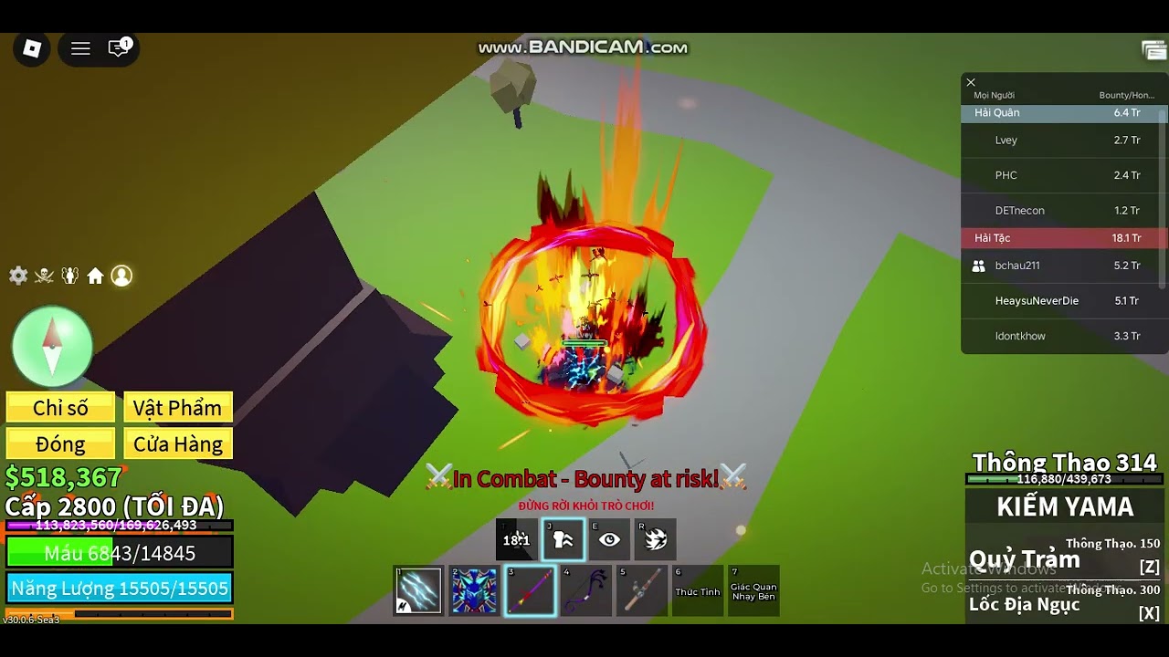pvp1-9