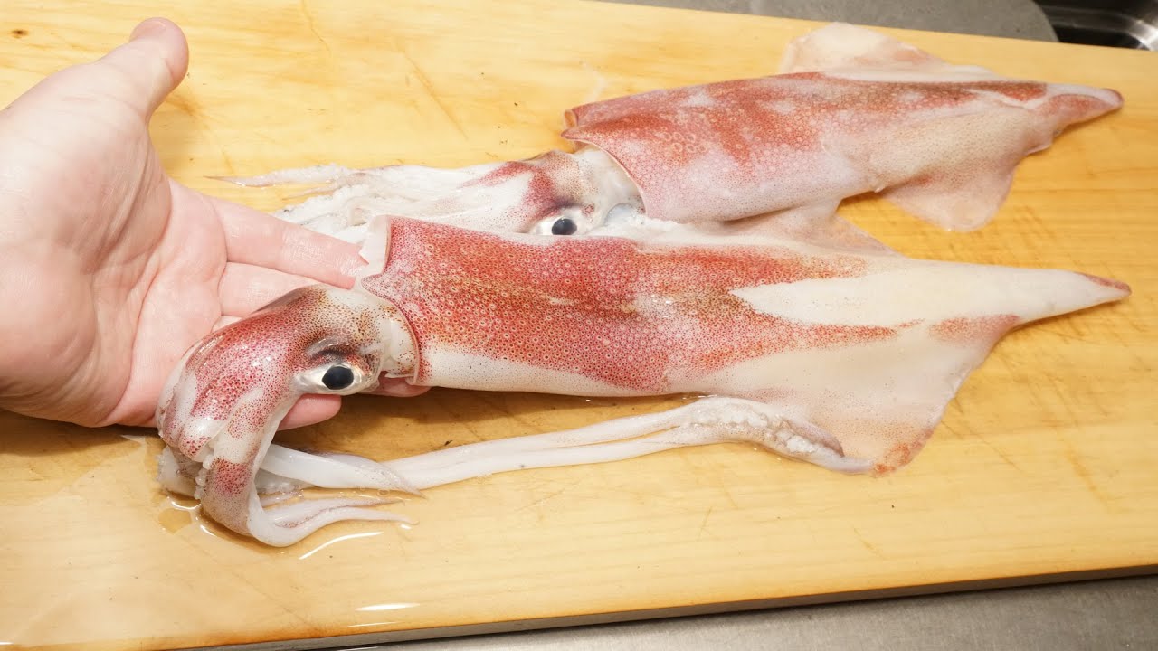 ヤリイカの捌き方とイカ墨を使った塩辛「黒造り」の作り方