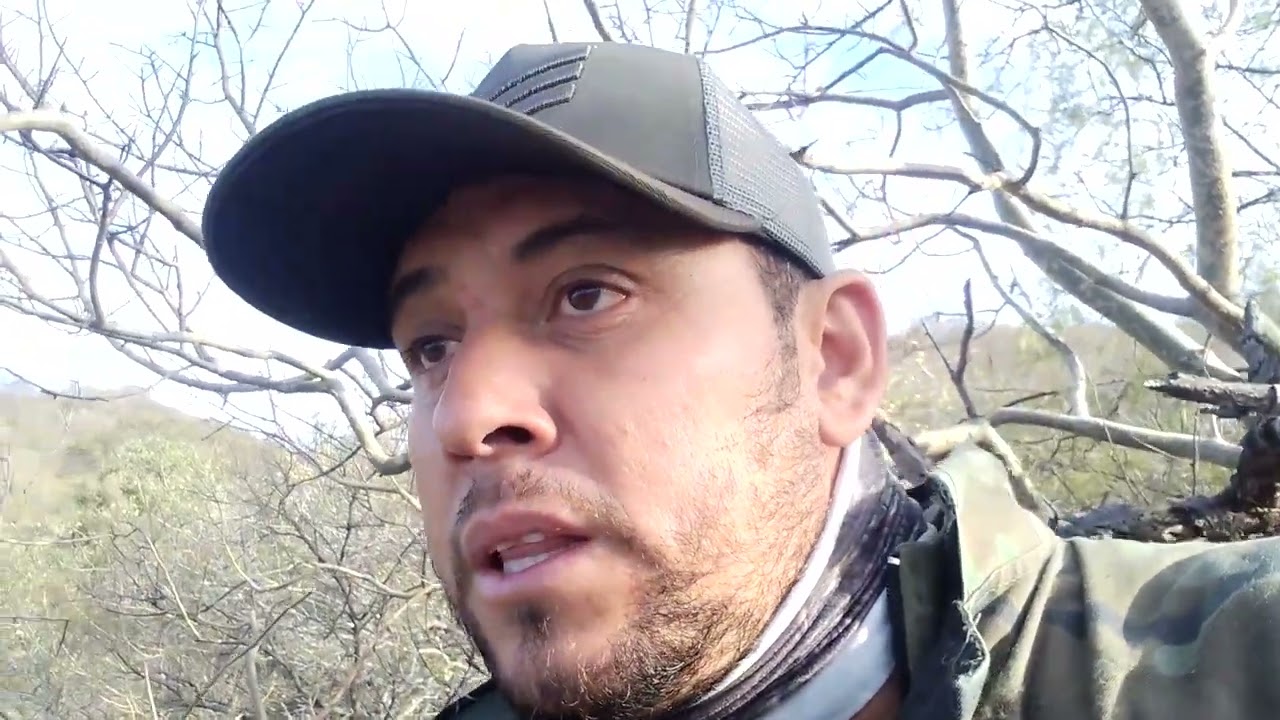 explorando la nueva zona y me sale un puma