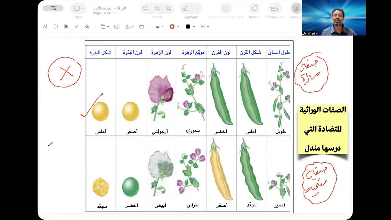 تجارب وقوانين مندل | الصف الأول الثانوي | المنهج الجديد