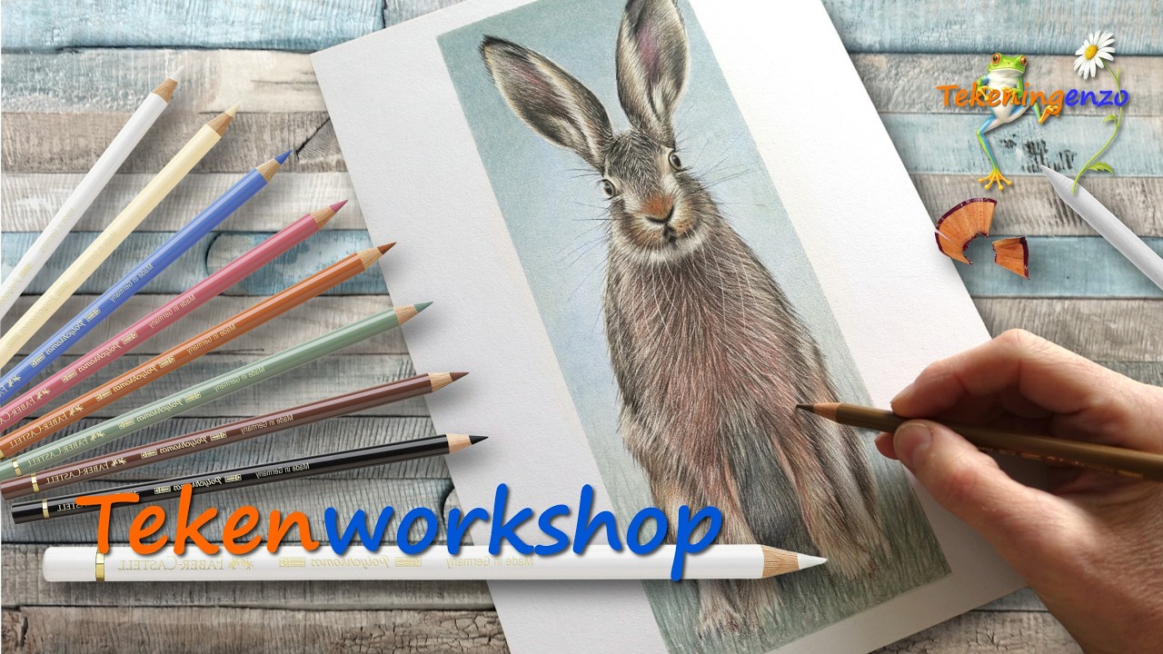 Tekenworkshop 'De Haas' - Trailer