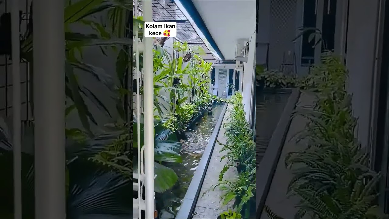 kolam ikan kece kak @rumahzain_bintaro 🤗 🤗 #shorts #desaintaman #inpirasitaman #kolamikan