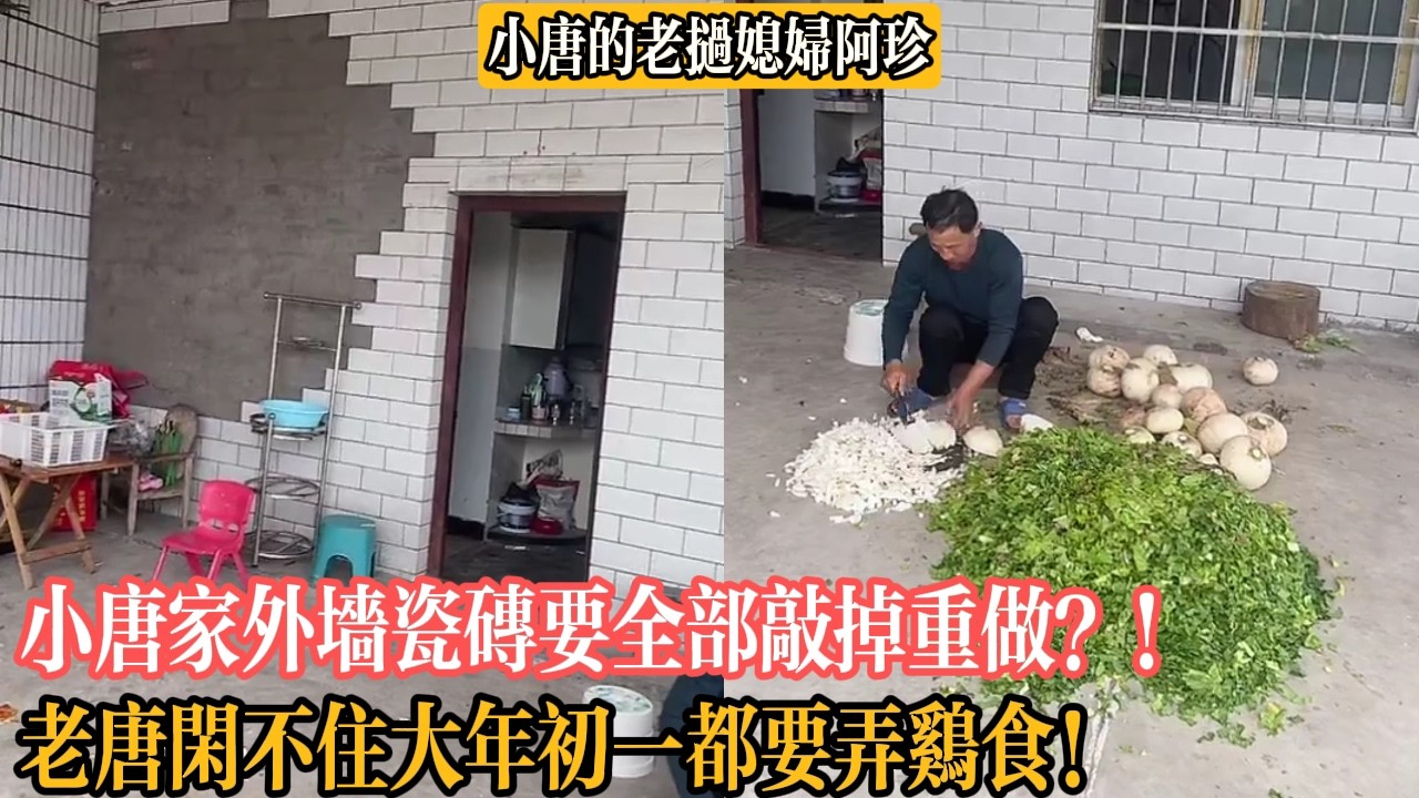 【小唐的老撾媳婦阿珍】小唐家外墻瓷磚要全部敲掉重做？！老唐閑不住大年初一都要弄雞食！