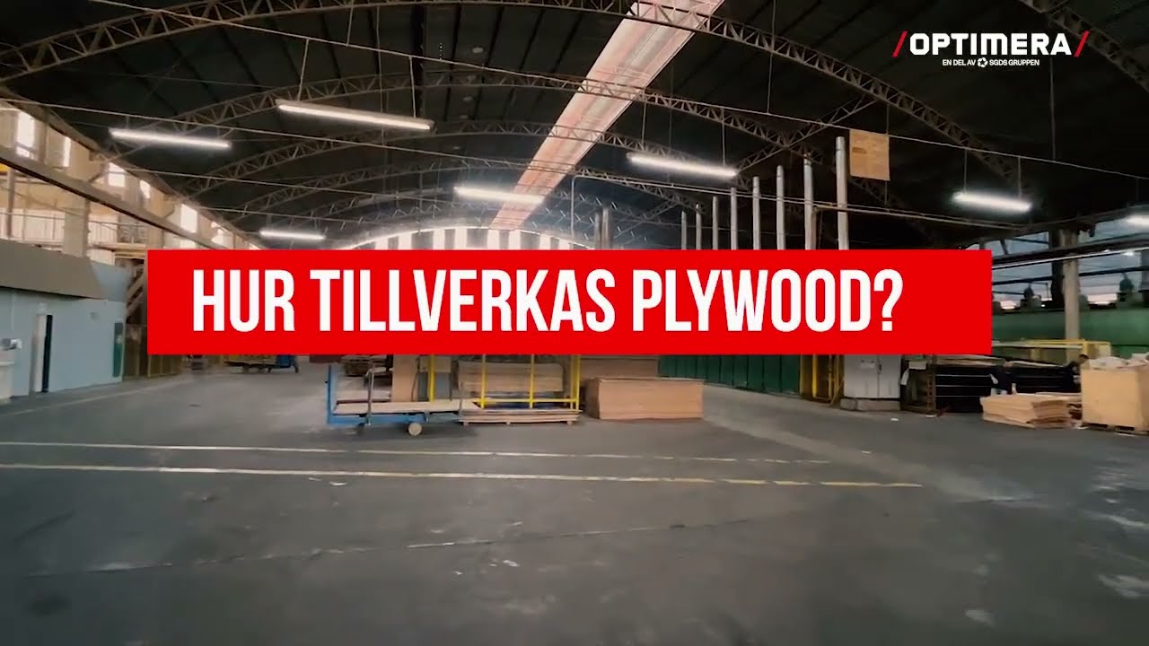 Hur tillverkas Plywood?