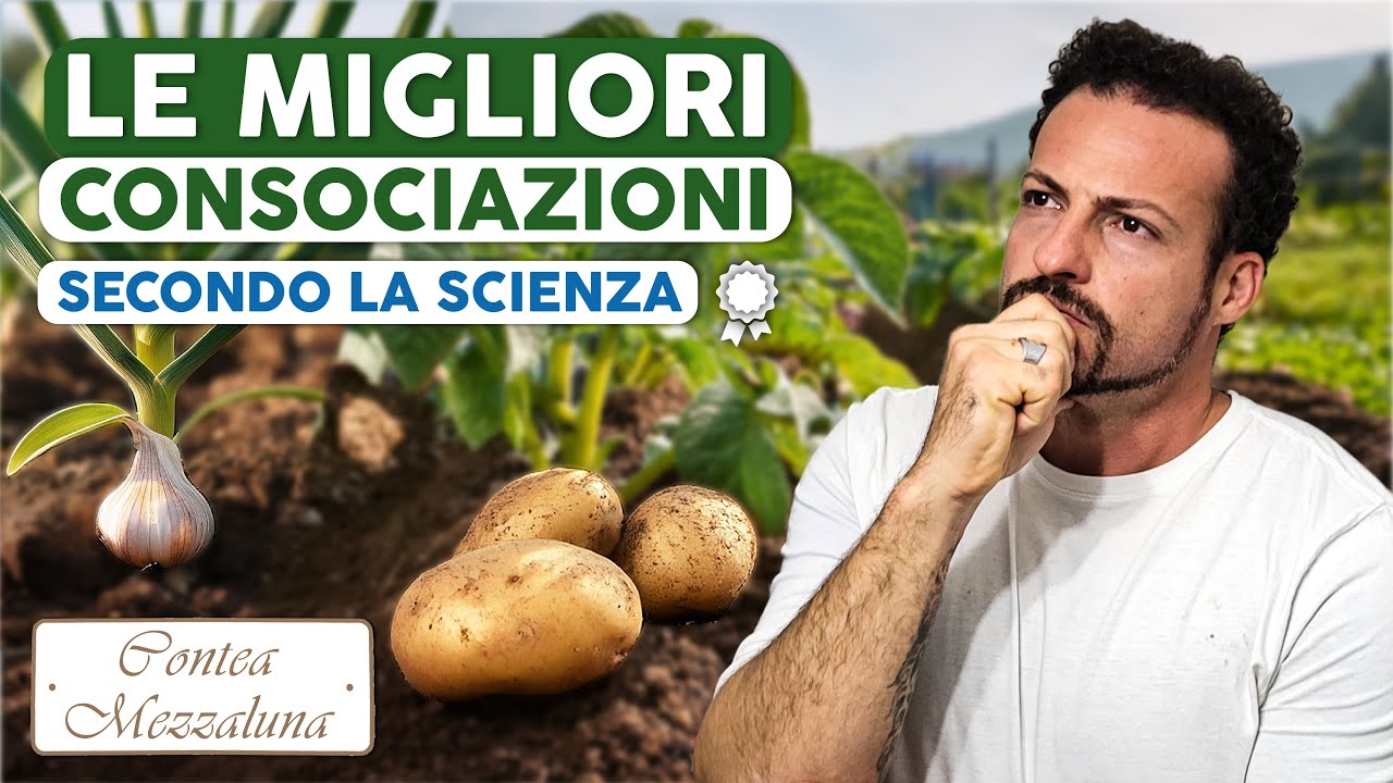 Consociazioni Efficaci nell'Orto: Le Migliori Combinazioni di Piante (Secondo la Scienza)