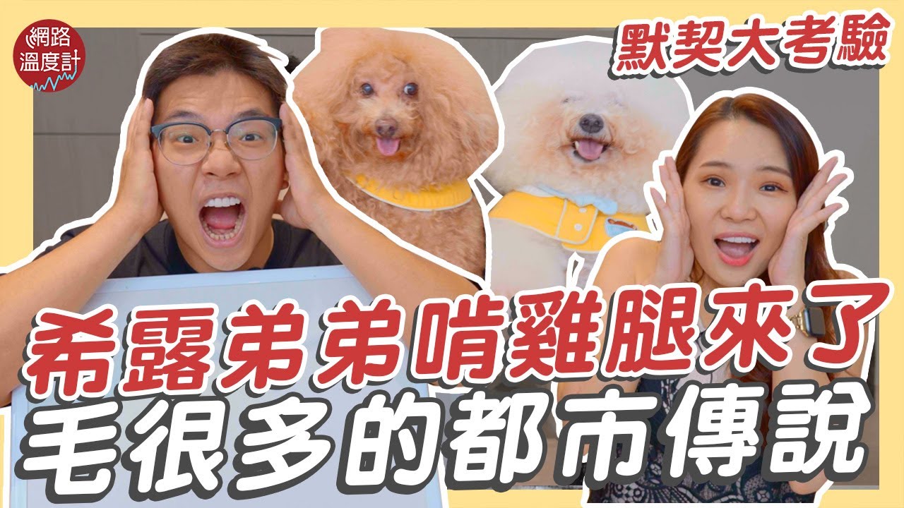 #希露弟弟啃雞腿 挑戰 #毛宇宙 #都市傳說　姐弟默契考驗 #毛很多 超爆笑｜網路溫度計