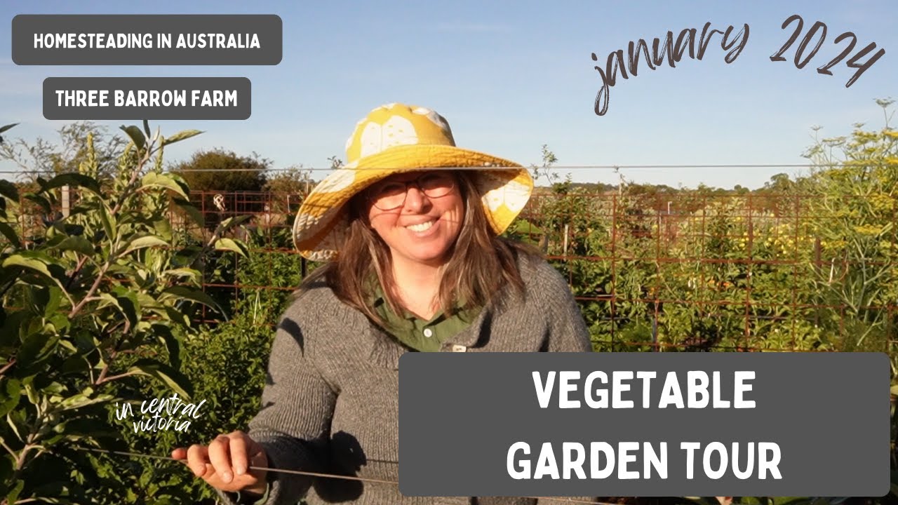 Vegetable Garden Tour, Victoria Australia, Zone 9B, January 2025