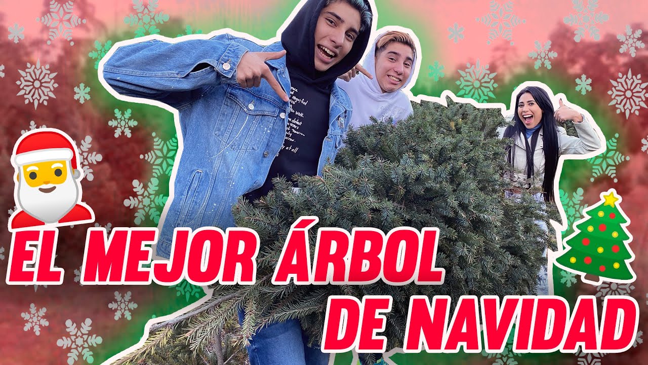 NUESTRO PRIMER ÁRBOL DE NAVIDAD 🎄 | Vlog 6 | Kim Shantal