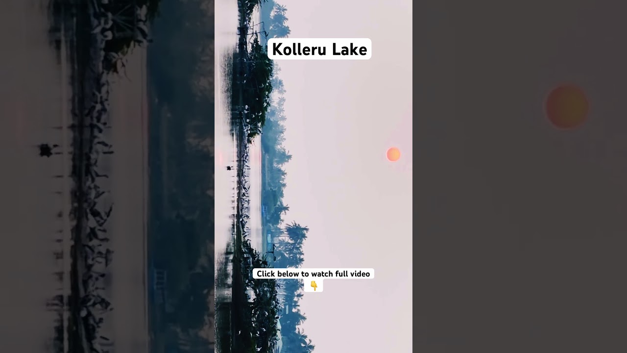 Kolleru lake|Pelican Paradise 