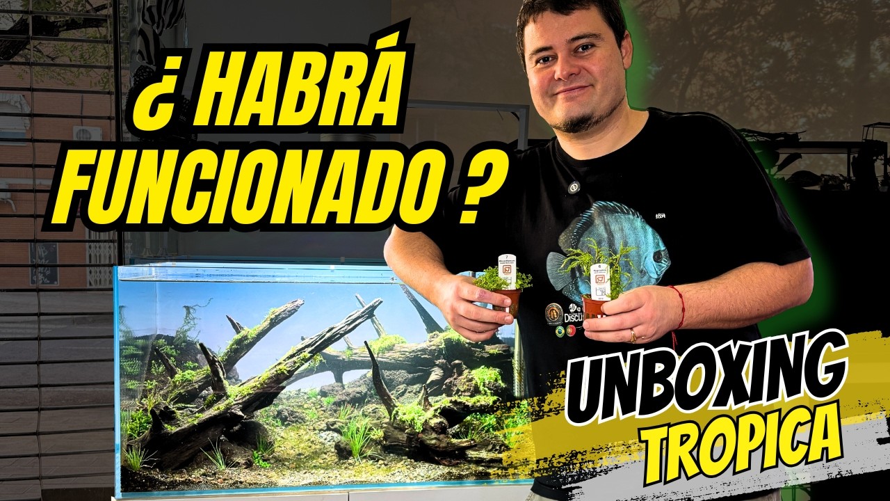 Cómo plantar un ACUARIO DE CONCURSO 🏆 (Unboxing TROPICA)