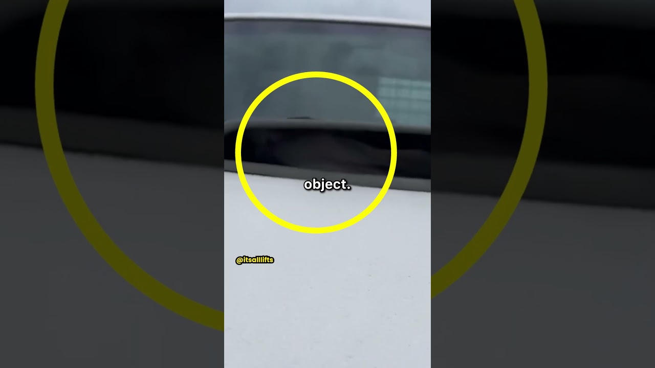 Unexpected Bird Underneath Hood