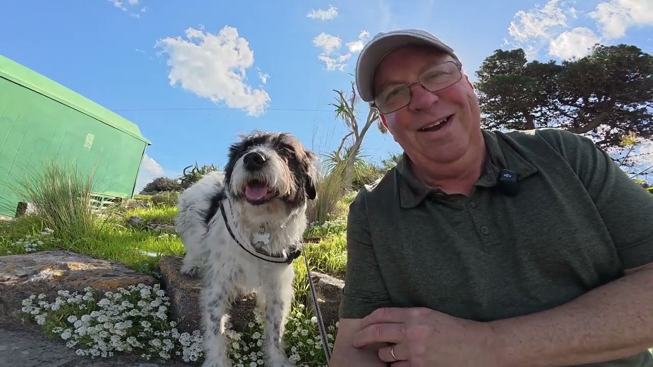 Moo visits Ulwell Holiday park in Swanage