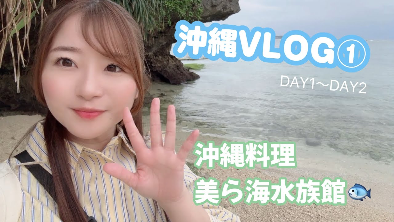 沖縄VLOG①〜到着日、美ら海水族館〜