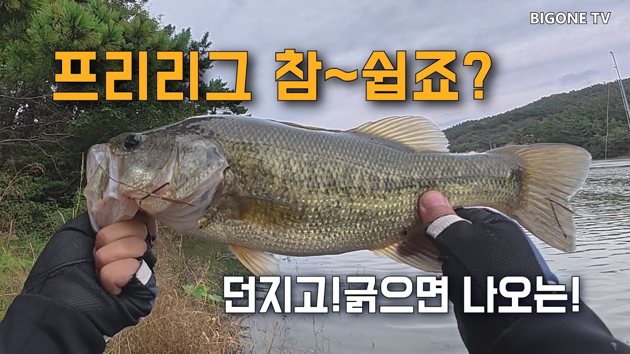 프리리그 참~쉽죠? 던지고! 긁으면 나오는?!
