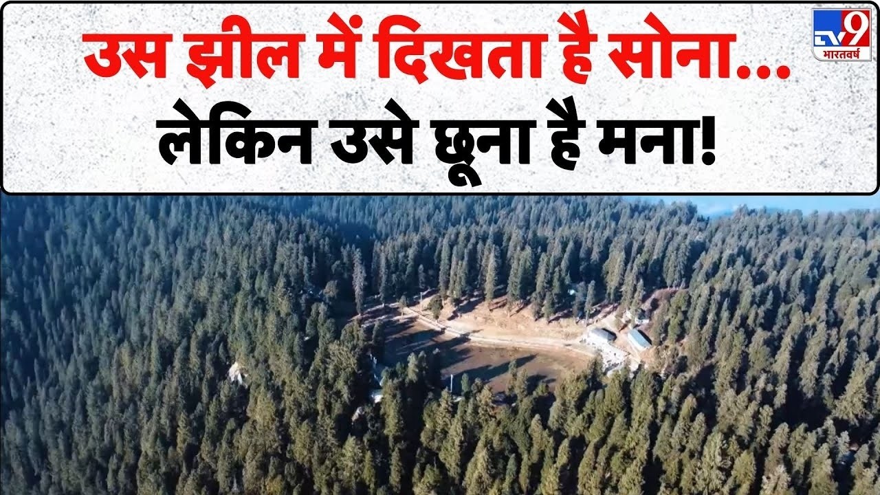 TV9 Drishyam: कुंड की शक्ति का राज़... शेषनाग या खाटू श्याम? | Kamrunag Temple | Indian Barmunda