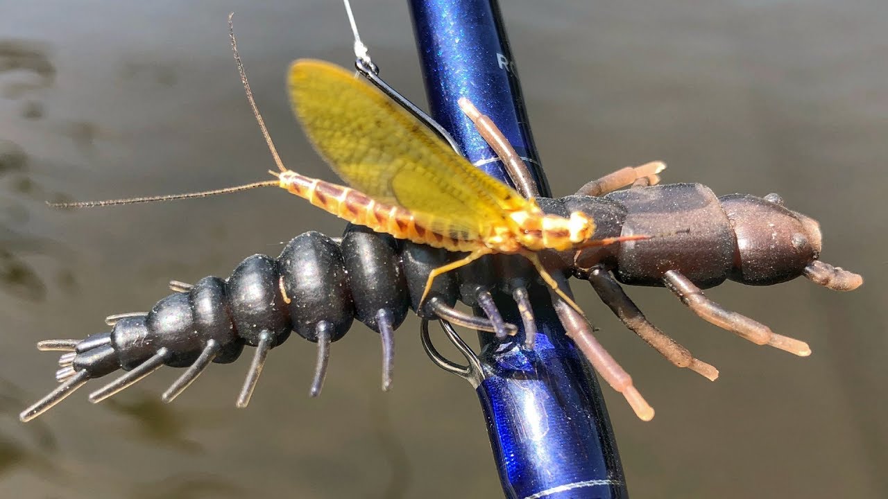 Slammin' Smallies During The Mayfly Hatch