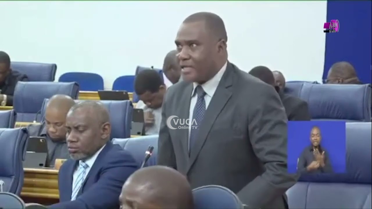 @vugaonlinetv: MASUALI MAGUMU YA Mhe PROF OMAR FAKIHI YAMCHANGANYA NAIBU WAZIRI WA ELIMU HILI HAPA