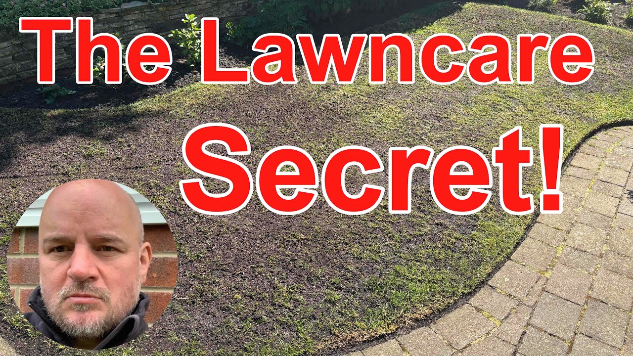 How to Grow a Thick, Lush Green Lawn.