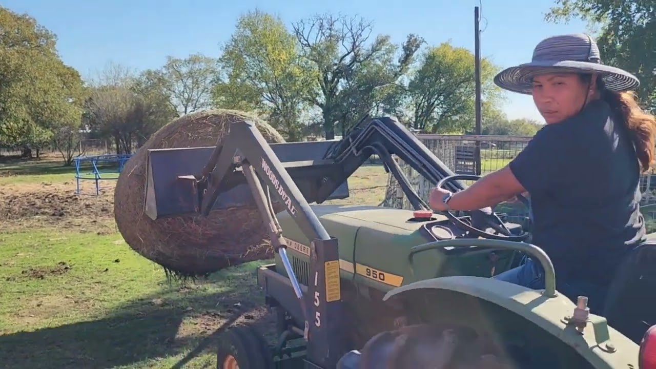 what a life  working on the field today. A lady tractor to haul the hay.