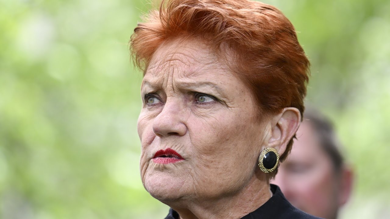 ‘Get your act together’: Hanson comes for Labor after ranking high in Newspoll