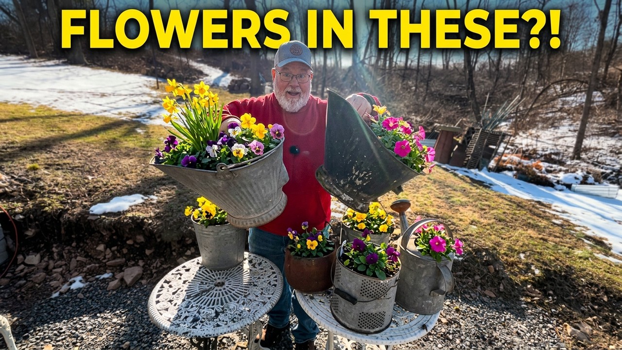 “From Coal Buckets to Bloom — Planting Flowers in Antique Containers”