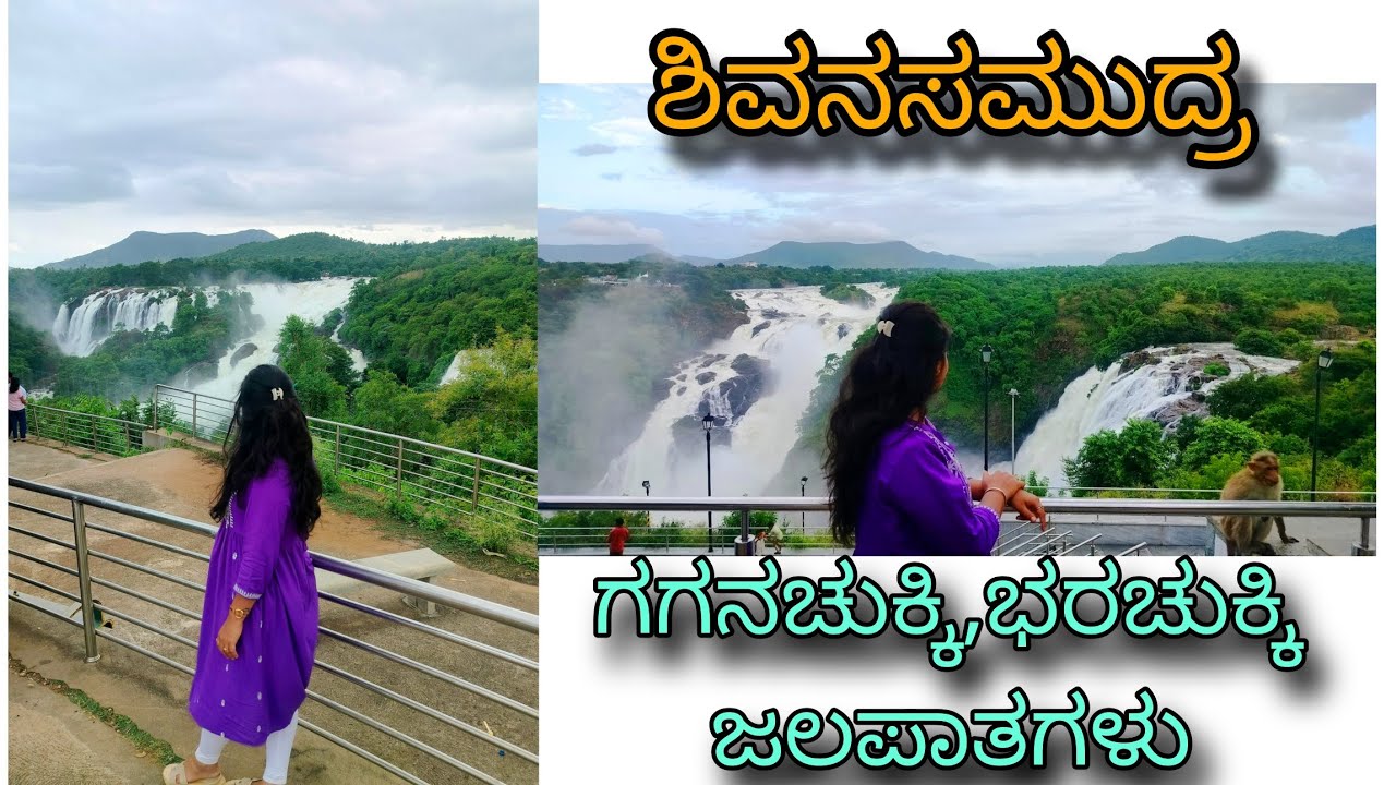 ತುಂಬಿ ಹರಿಯುವ ಶಿವನಸಮುದ್ರದ ಗಗನಚುಕ್ಕಿ, ಭರಚುಕ್ಕಿ ಜಲಪಾತಗಳು|Gaganachukki, Bharachukki falls|Shivanasamudra