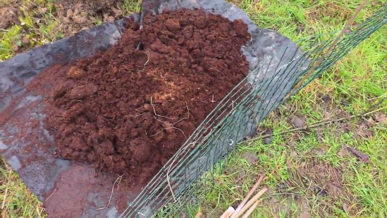 🇬🇧🦍 Видео подготовки площадки для партизанского выращивания в Великобритании 🇬🇧🦍 #reepwhatyousow ...