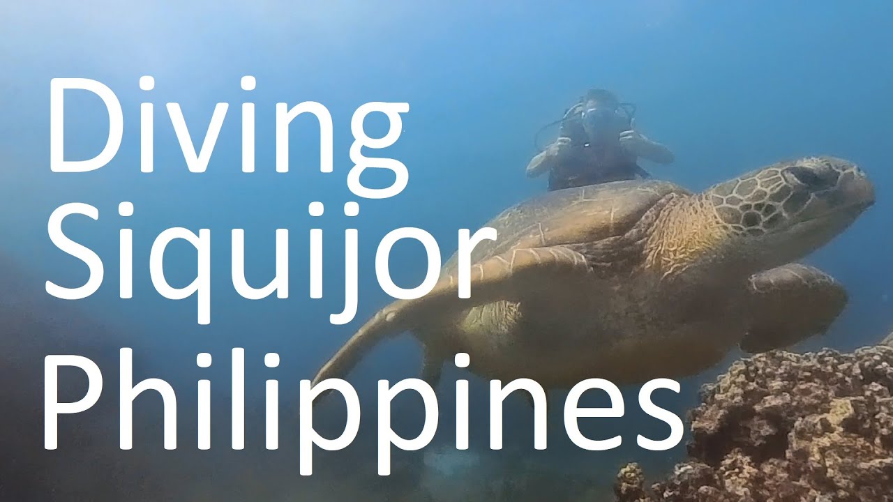 Diving Siquijor, Philippines