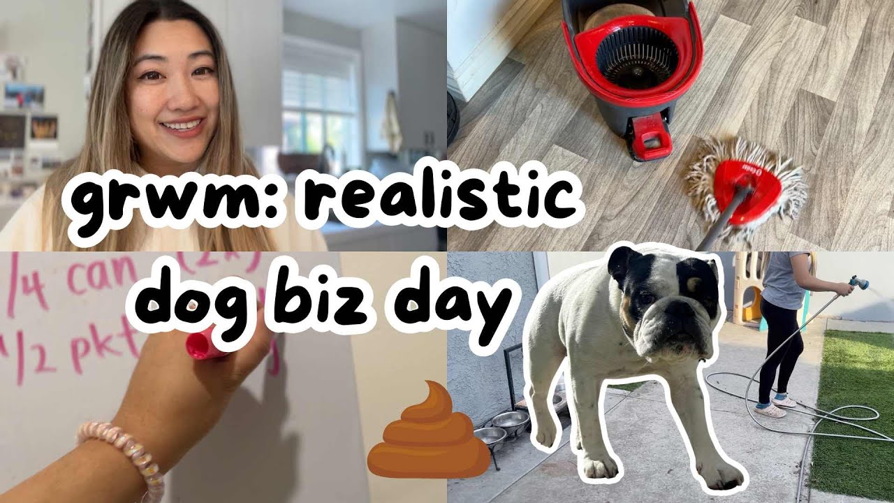ROVER: my realistic dog sitter day + sitter tips!