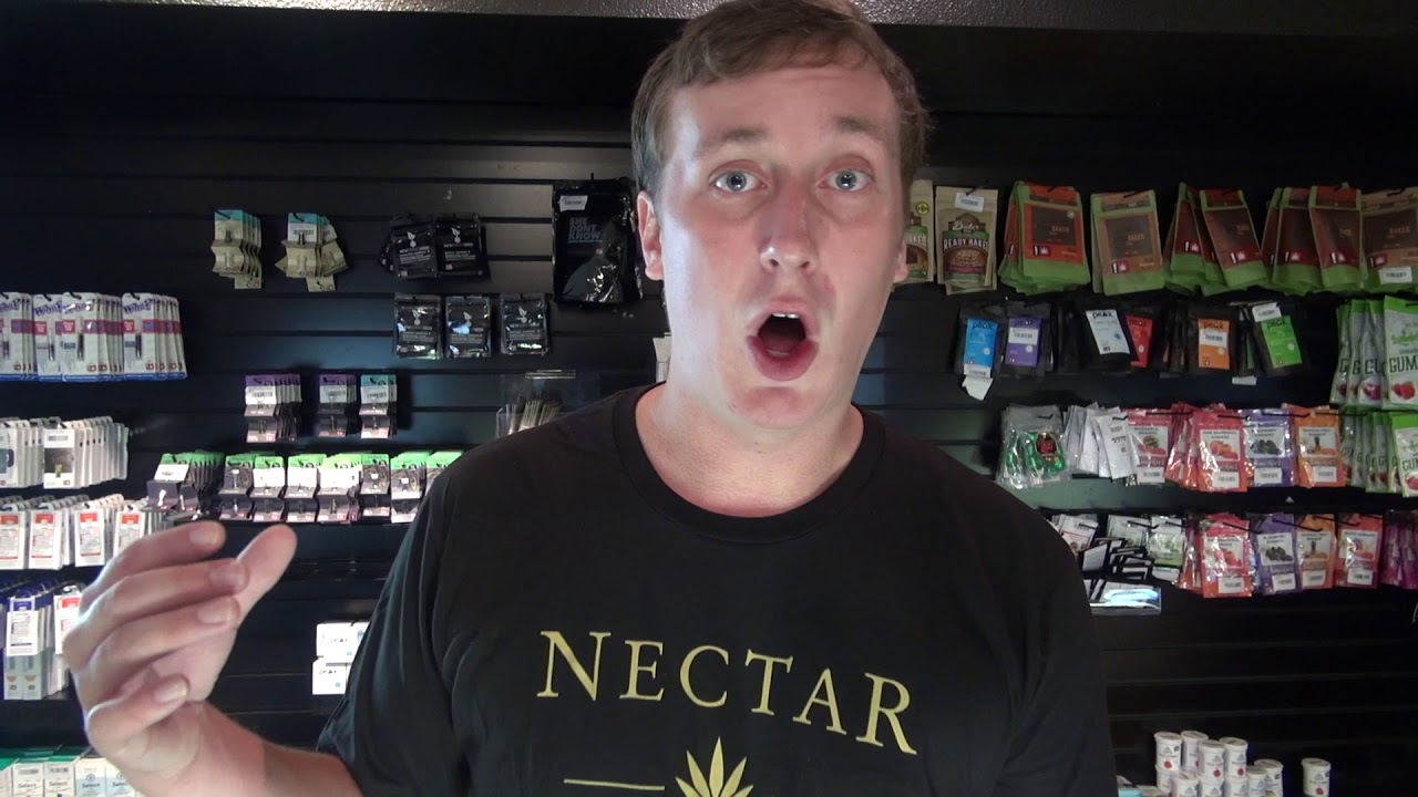 What are Land Race Strains