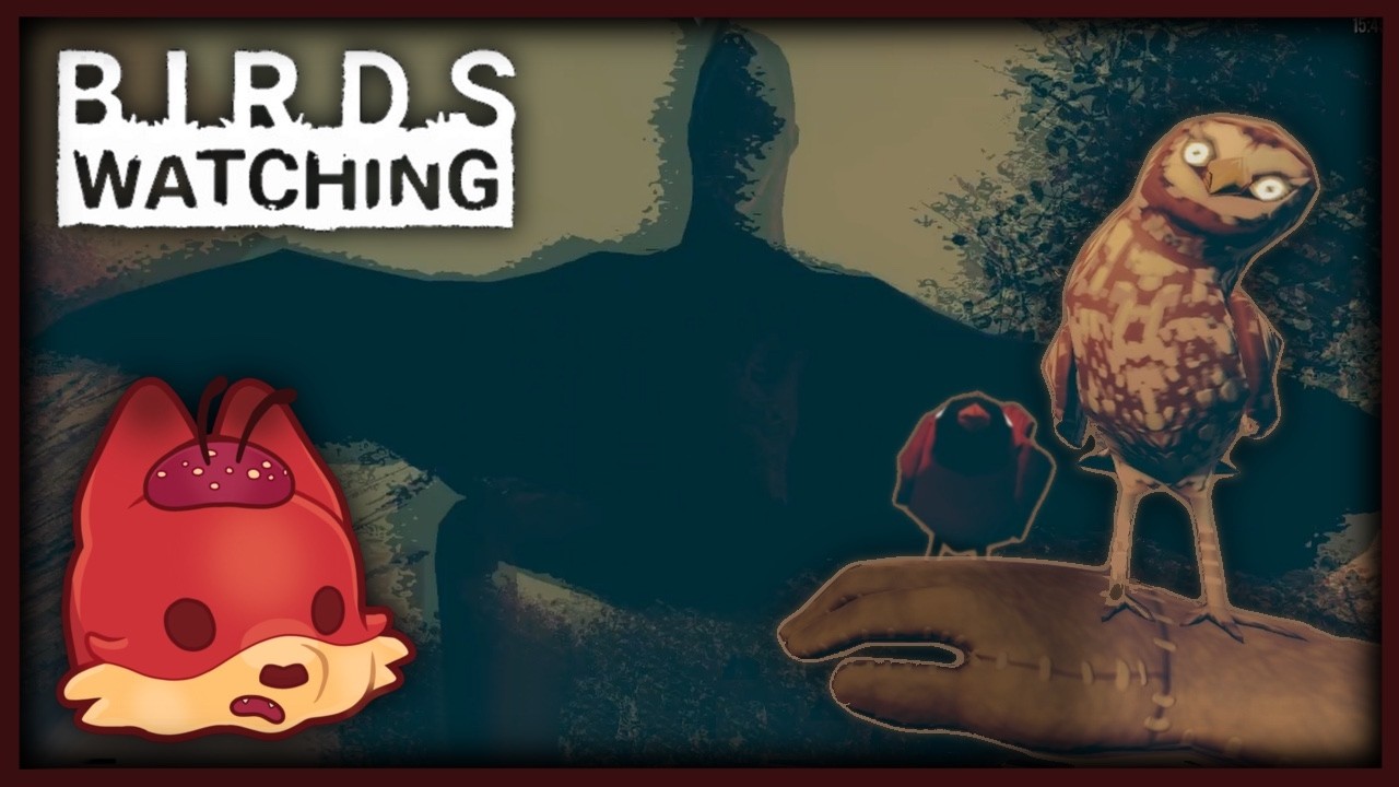 Birds Watching (Full Game + All Endings + All Birds)
