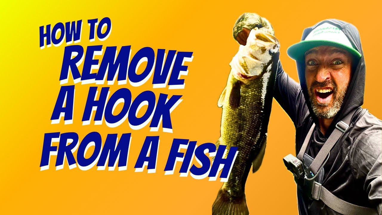How to Remove a Hook from a Fish